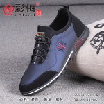 298-032 兰 【二棉】 时尚潮流系带男棉鞋