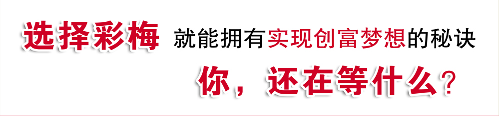 彩梅招商资料图